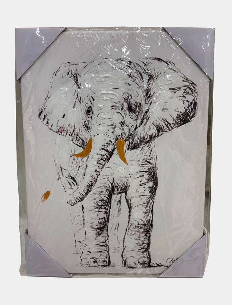 Cuadros animales Outlet