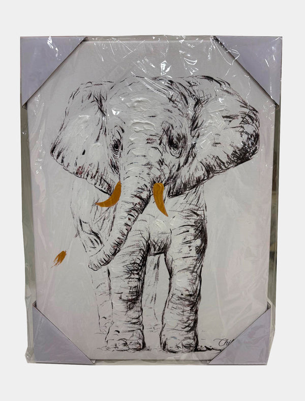 Cuadros animales Outlet