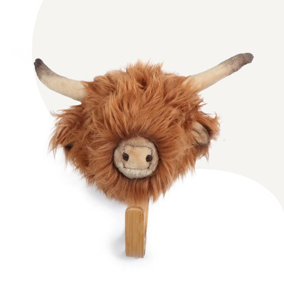 Highland cow