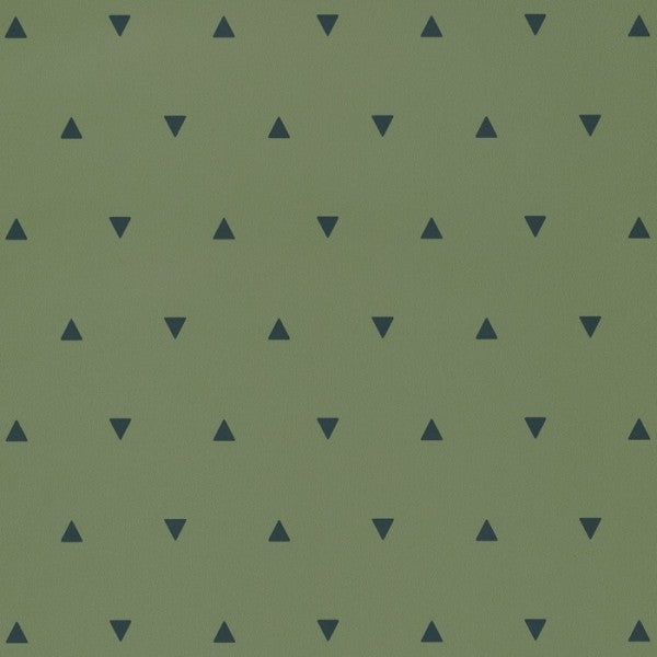 Triangulo de las Bermudas