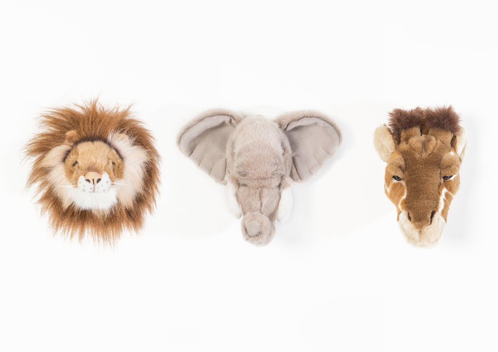 Pack de 3 cabezas Pequeñas Safari